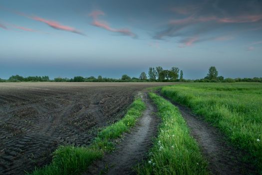 A dirt road between a green meadow and a plowed field, evening spring rural view, eastern Poland