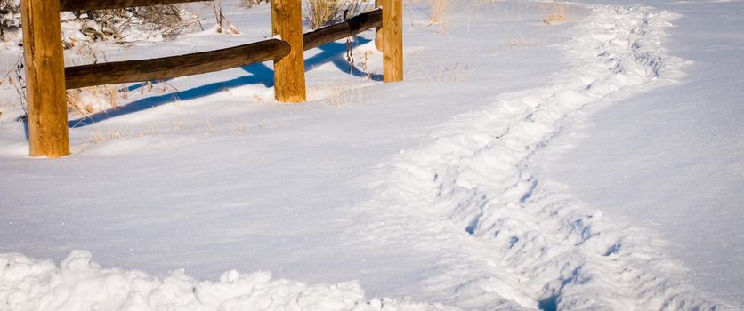 Trail in snow.