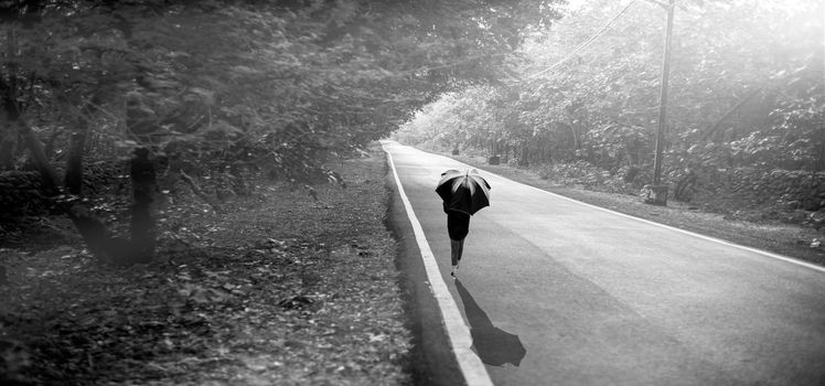 Black and white shot of a girl with a black umbrella walking alone on forest road.