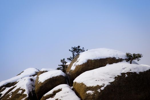 Boulders coverred in snow.
