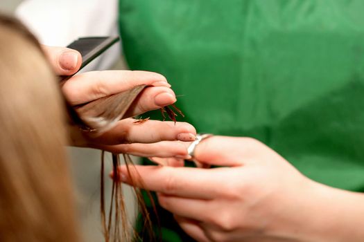 Closeup of a hairdresser cutting hair tips of a female customer in a beauty salon