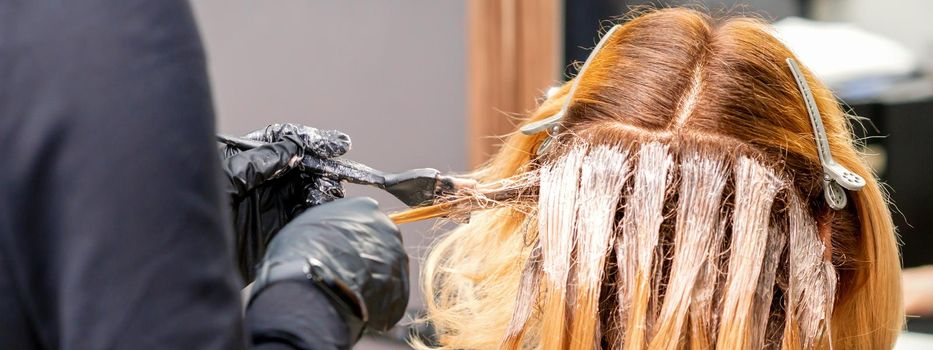 Female hairdresser dyeing hair of young caucasian woman in hair salon