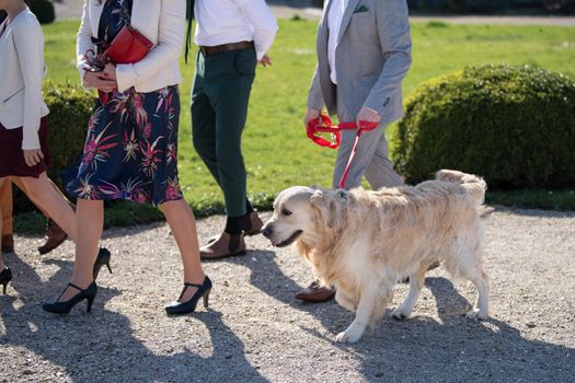 A groom walking with a labrador on a leash in a park