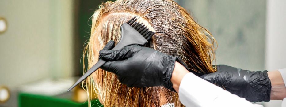 Hand of a hairdresser in black gloves applying dye to the female hair in a beauty salon