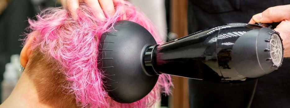 A male hairdresser professional drying stylish pink hair of the female client with a blow dryer in a beauty salon