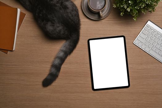 Above view cute cat, mock up digital tablet and books on wooden table.