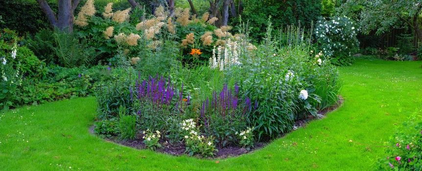 Late summer garden. A panorama photo of the garden in late summer