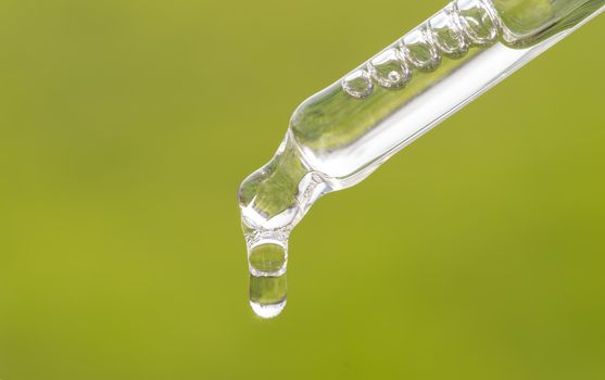 Pipette with essential oil, serum, hyaluronic acid on grass background. Aromatherapy, alternative medicine with green leaf. Closeup of green pippette, falling drop close up. Beauty skin care product