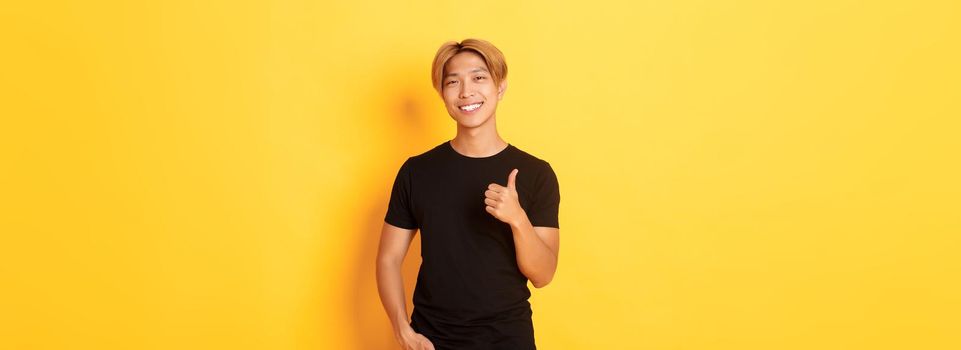 Portrait of satisfied handsome asian blond guy, smiling pleased, showing thumbs-up in approval, standing yellow background.