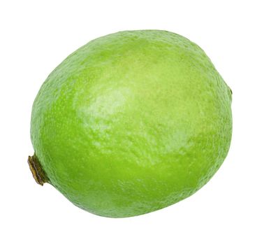 Lime closeup isolated on white background. Whole fresh lime front view. Healthy fruit food background. Organic ripe fruit.