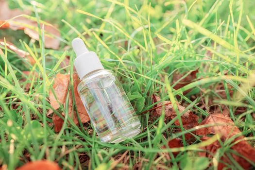 Bottle with serum on colorful green grass with yellow autumn leaves background. Beautiful fall foliage. Natural organic cosmetic product. Cosmetics beauty concept. Top view.