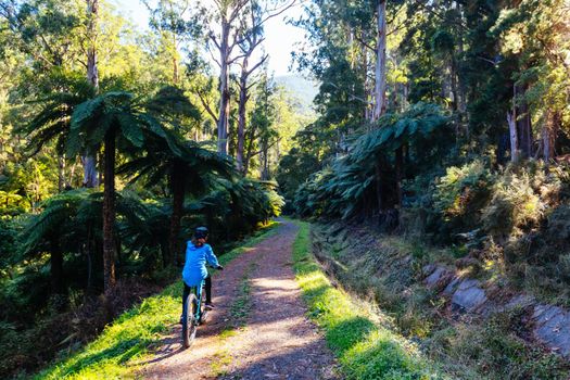 The popular O'Shannassy Aqueduct Trail for bikers and hikers on a cool autumn morning near Warburton in Victoria, Australia