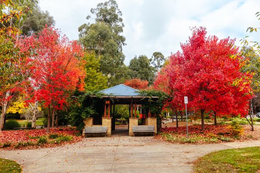 Marysville, Australia - May 16 2020: The quaint tourist country town of Marysville on an autumn afternoon in Victoria, Australia