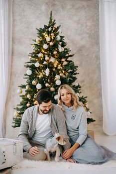 A happy couple in love - a man and a woman. A family in a bright New Year's interior with a Christmas tree.