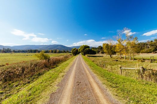 The popular Lilydale to Warburton Rail Trail in Mt Evelyn on a warm autumn day in Victoria, Australia