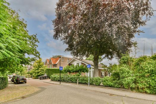 View of street near building with beauty of vegetation outside