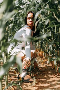 A brunette girl in a white dress in a cornfield. The concept of harvesting.