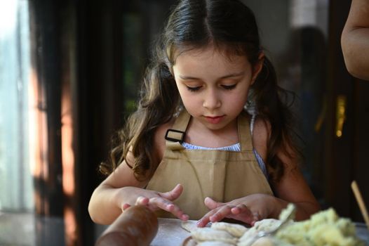 Close-up portrait of charming baby girl with two ponytails, wearing beige chef's apron, molding dumplings, cooking vareniki with her mom in the country kitchen during summer holidays in the coutryside