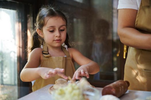 Adorable European child girl with two ponytails wearing chef apron, concentrated on molding dumplings stuffed with mashed potatoes, helping her mother in the kitchen. Mom and daughter cooking together