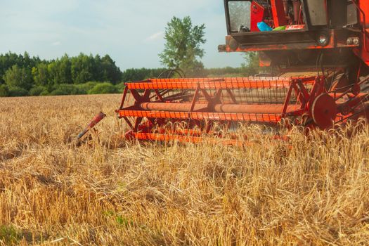 A field with grain and a mowing harvester, summer rural view