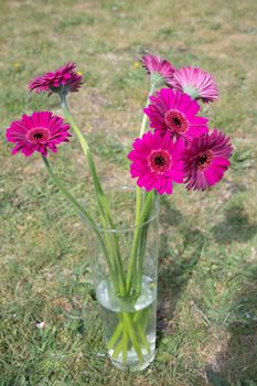 Bouquet of purple gerberas, close angle, spring mood, flower background, mother's day gift, dew drops on bud petals, tactile, visual enjoyment. High quality photo