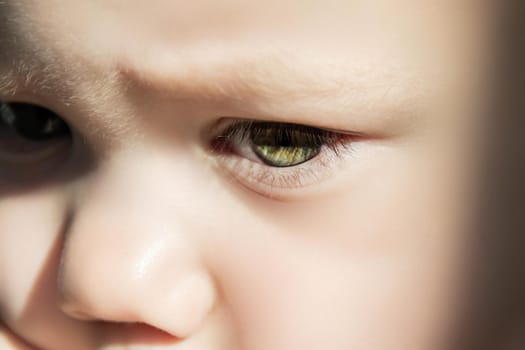 Expressive look of a small child. Baby's eye close-up. Gray green iris