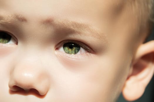 Expressive look of a small child. Baby's eye close-up. Gray green iris