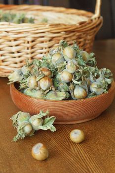 Young green hazel, hazelnuts collected from a tree in a husk, on a wooden background