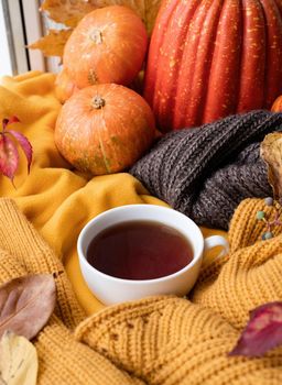 Hello fall. Cozy warm image. Cozy autumn composition, sweater weather. Pumpkins, hot tea and sweaters on window