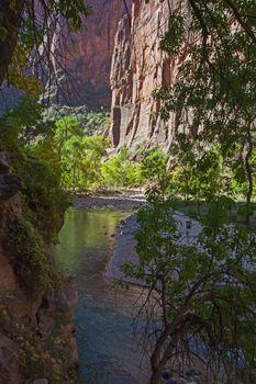 The Virgin River in Zion Canyon, Zion National Park. Utah