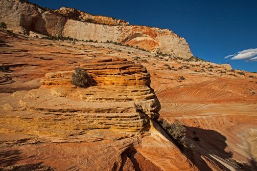 Sandstone rock formations along Zion Boulevard in Zion National Park. Utah