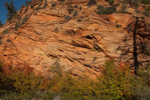 Sandstone rock formations along Zion Boulevard in Zion National Park. Utah