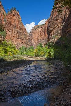 The Virgin River in Zion Canyon, Zion National Park. Utah