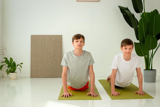 two cute teenagers boy perform yoga exercises while lying on mats in a cobra pose in a sunny studio. copy space. Copy space