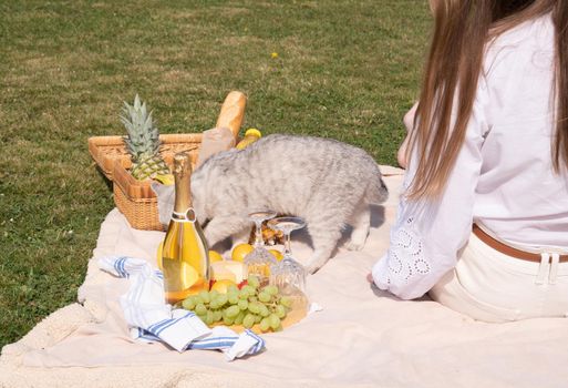 a young woman in a white shirt is resting on a picnic with her pet kitten, rest from worries and household chores, parks and recreation areas,. High quality photo