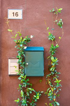 Metal letter box on wall of italian house decorated by climbing plant. Front view