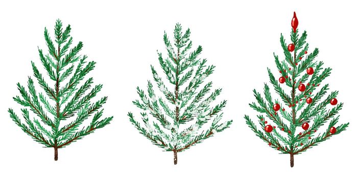 Watercolor hand drawn illustration of Christmas tree. Winter new year evergreen fir pine spruce plant. December season celebration design, holiday party print for invitations cards, isolated on white background