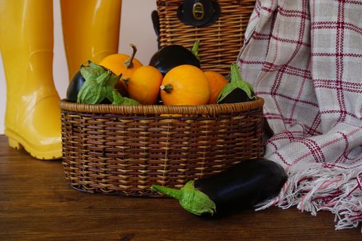 On a wooden table there is a wicker basket with a harvest of eggplants and pumpkins. High quality photo