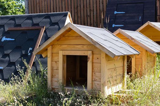 Wooden booth for a dog in the yard close up