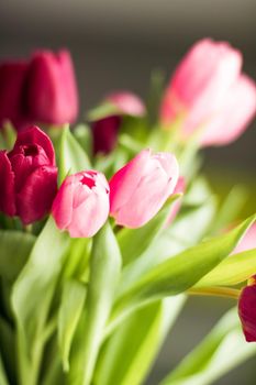 Flowers, spring holidays and home decor concept - Bouquet of beautiful tulips, floral background