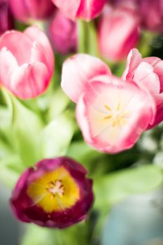 Flowers, spring holidays and home decor concept - Bouquet of beautiful tulips, floral background