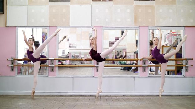 in dancing hall, Young ballerinas in purple leotards perform grand battement back on pointe shoes, raise their legs up elegantly, standing near barre at mirror in ballet class. High quality photo