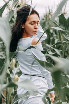 A brunette girl in a white dress in a cornfield. The concept of harvesting.