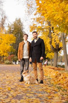 Father and son with a pet on a walk in the autumn park.