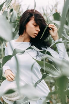 A brunette girl in a white dress in a cornfield. The concept of harvesting.