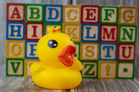 Rubber duck baby toy and alphabetic wooden block.