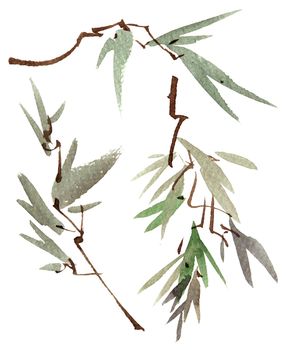 Watercolor and ink illustration of tree leaves - set of branches on white background. Oriental traditional painting in style sumi-e or gohua.