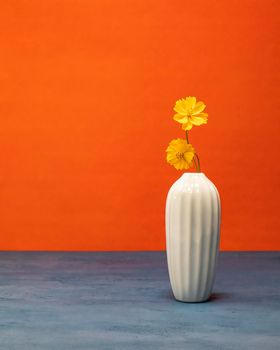 Minimalist still life with yellow wildflowers in a white vase with blue base and orange background.