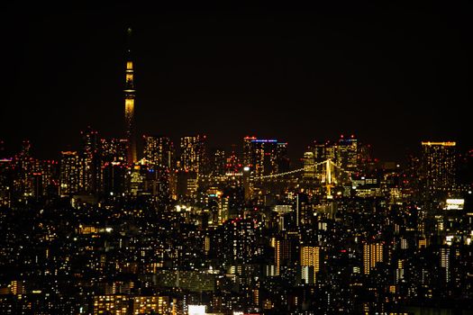 Sky Tree and Rainbow Bridge seen from Yokohama Landmark Tower. Shooting Location: Yokohama-city kanagawa prefecture