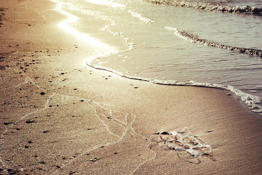 background of a plastic rings lies on the shore of the beach at sunset and pollutes the sea and the marine life, concept of pollution control of the oceans by plastic, copy space for text